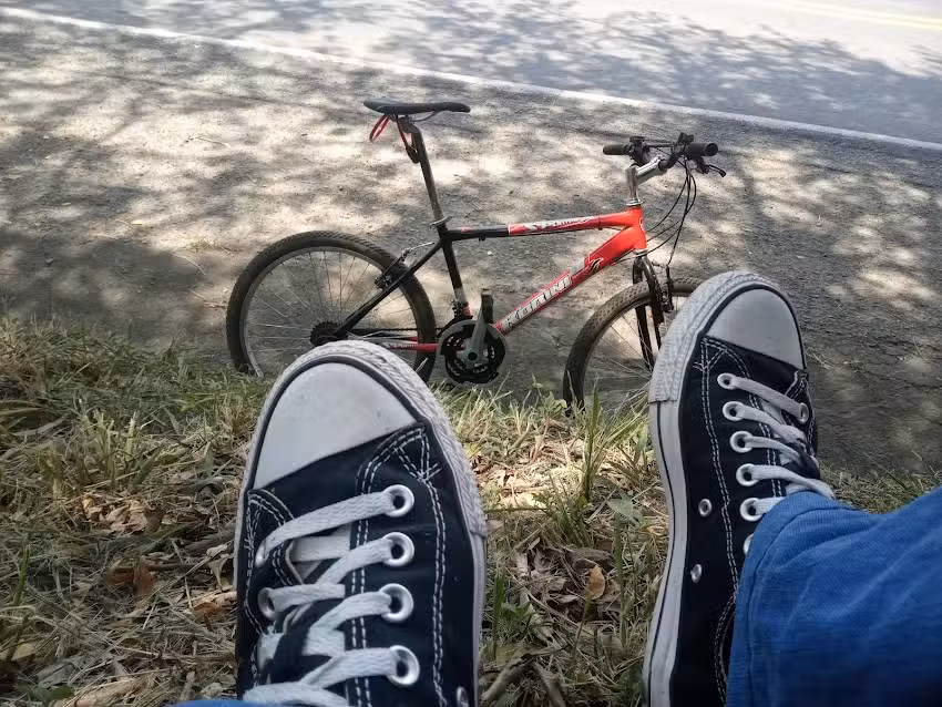 4000 Estrellas -&iexcl;Disfruta Roldanillo!