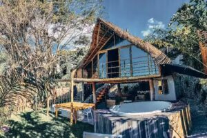 Abu Dabi glamping pereira