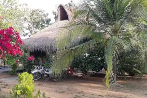 Agriturismo Palmarejo