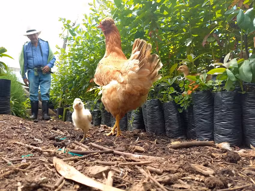 Agroecologicos Chipaque