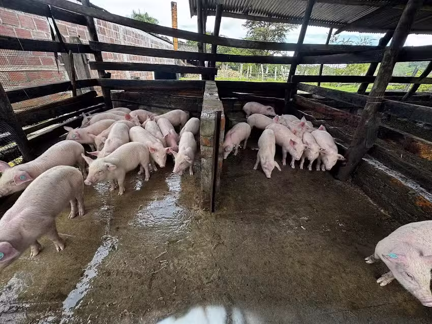 AgroHacienda San Jos&eacute;