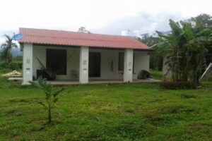 Agrupaci&oacute;n Tholu