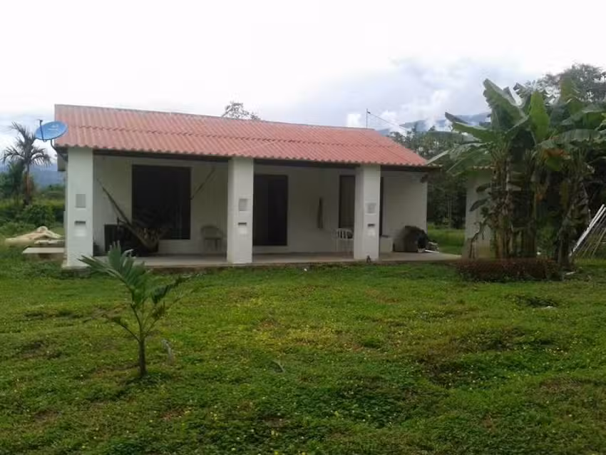 Agrupaci&oacute;n Tholu