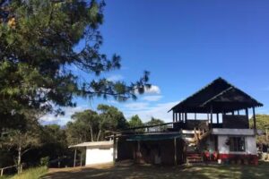 Al Bosque Hostal & Glamping