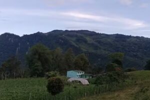 Albeiro Báez Morales