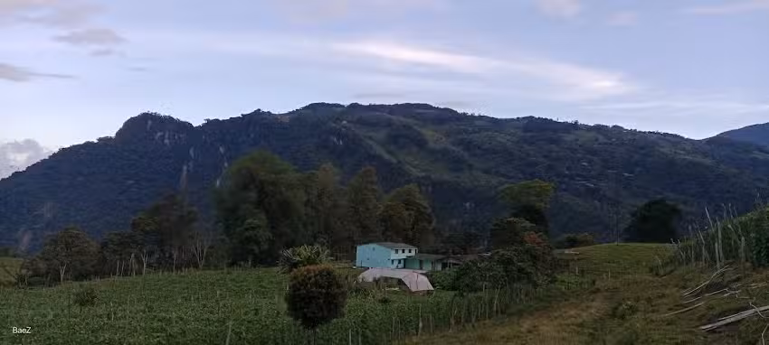 Albeiro B&aacute;ez Morales