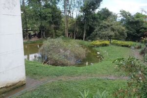 Albergue Amar Huellitas Cachipay