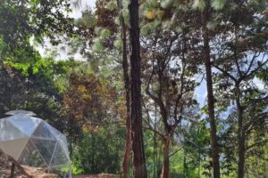 ALDEA DEL NARE GLAMPING