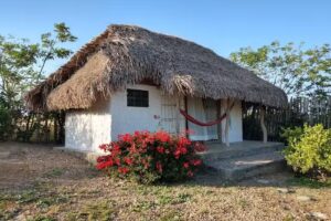 Alewa &ndash; Dibulla