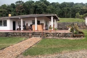 Alfaguara Dapa&rsquo;s View