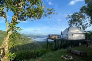 Alma-Verde Glamping