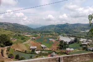 Alojamiento El canelo