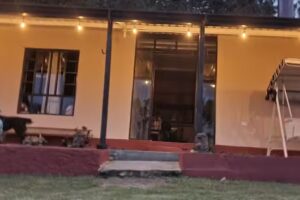 Alojamiento Rural Gavilanes