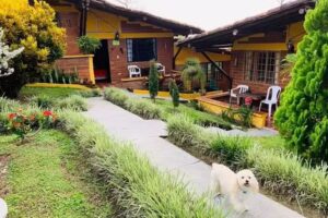 Alojamiento tur&iacute;stico La Primavera del castillo