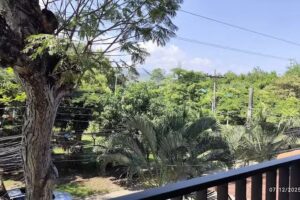 Alquiler Apartamento Cali &ndash; La Flora