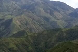 Alto de misericordia