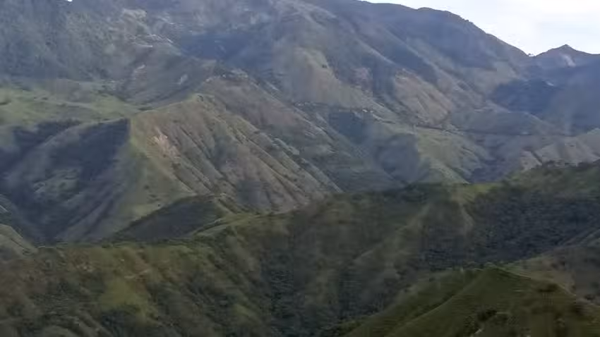 Alto de misericordia