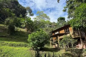 Amal&uacute; Campestre