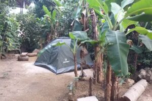 Amaranta House Palomino