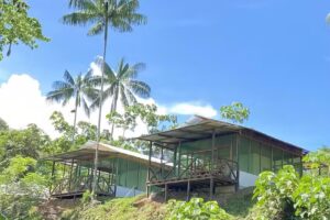 Amazon A&ccedil;a&iacute; Lodge