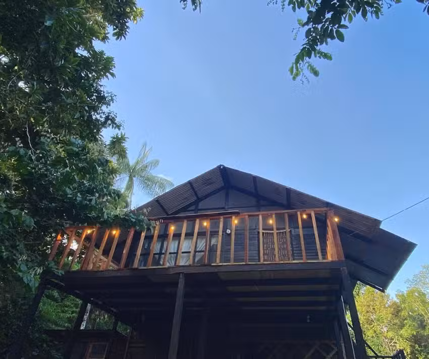 Amazon Bird Lodge