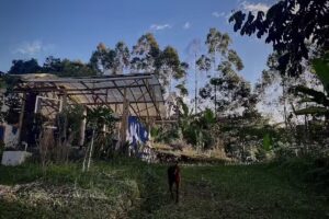 Andino Verde Eco-Glamping