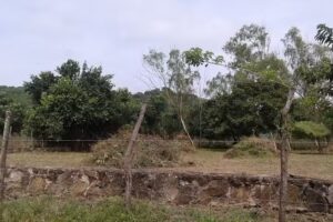 Aparta Suite La Granja