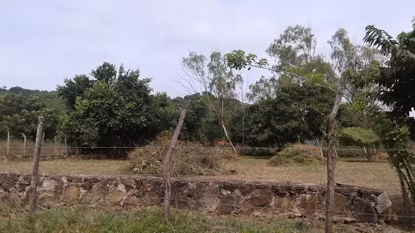 Aparta Suite La Granja