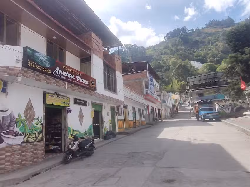 Apartahotel Anaime Plaza