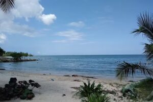 Aptos Gualdimar Coveñas