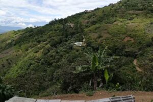 Armenia San Lorenzo Nari&ntilde;o