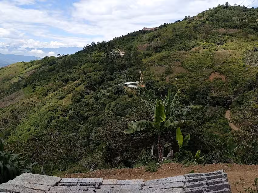 Armenia San Lorenzo Nari&ntilde;o