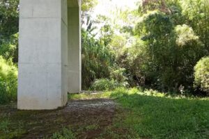 Av Centenario Armenia