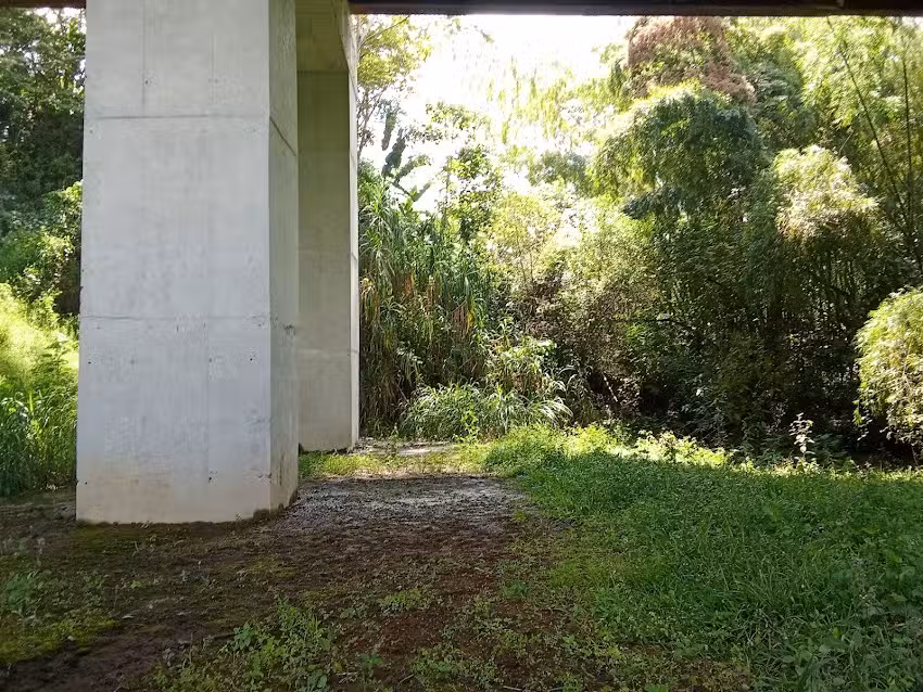 Av Centenario Armenia