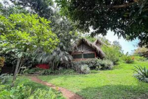 Ave de Monta&ntilde;a