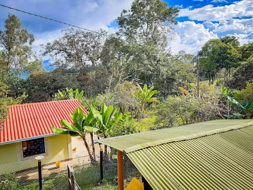 Avenida 13 45-68Los Alpes