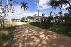 Avicola La Caba&ntilde;a