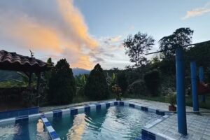 Ayahuasca Casa Art&iacute;stica