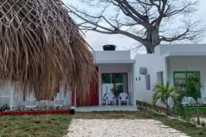 Bah&iacute;a tropical sand&iacute;a kiwi pi&ntilde;a