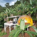 Bajo el Cielo Glamping