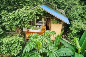 Bellavista Experiences