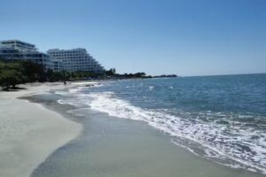 Bello Horizonte * Unido Al Mar