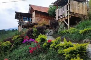 Benteveo Caba&ntilde;a Campestre