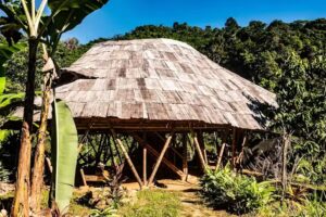 Blue Dot jungle eco hostel