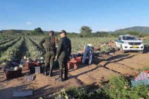 Boqueron De Las Lajas