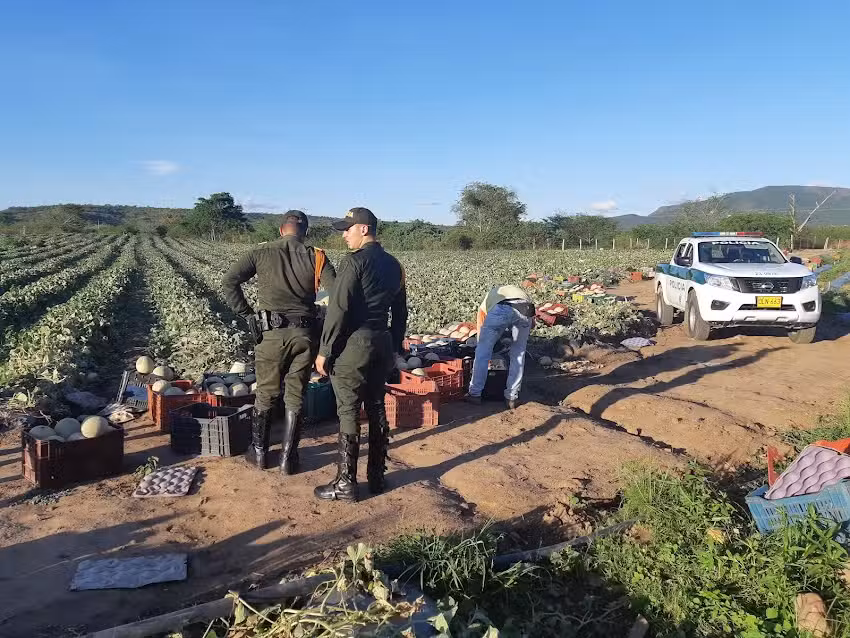 Boqueron De Las Lajas