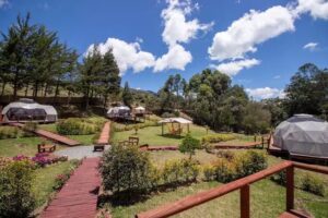 Boreal Refugio Natural