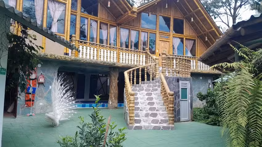 BOSCAJE &ndash; Solarpunk Habitat & Spa