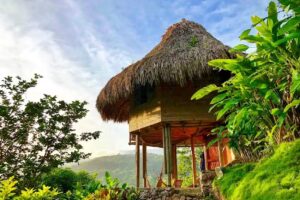 Bosques del Tayrona Ecohabs