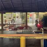 Brisas del Magdalena